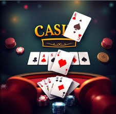 7755bet com